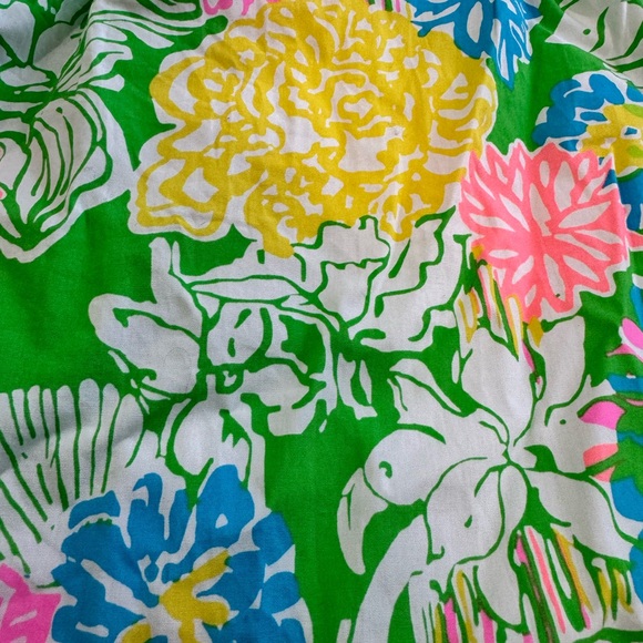 Lilly Pulitzer dress - Picture 2 of 6